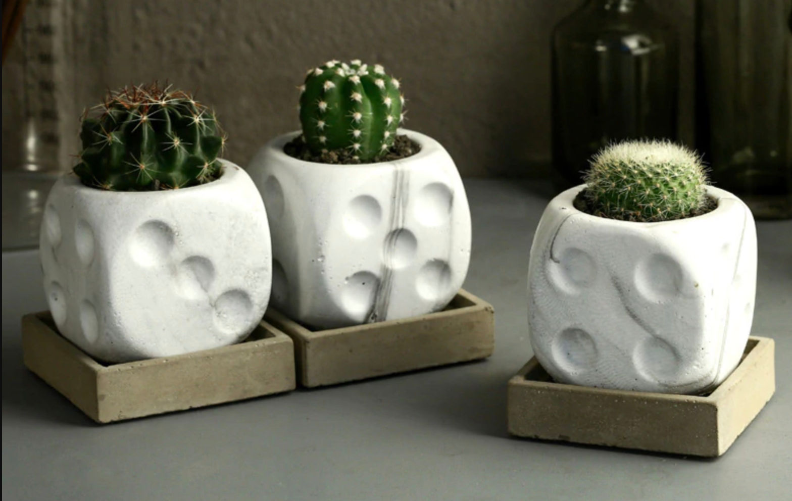 Cast white & marbled finish concrete Dice succulent pot on timber tray