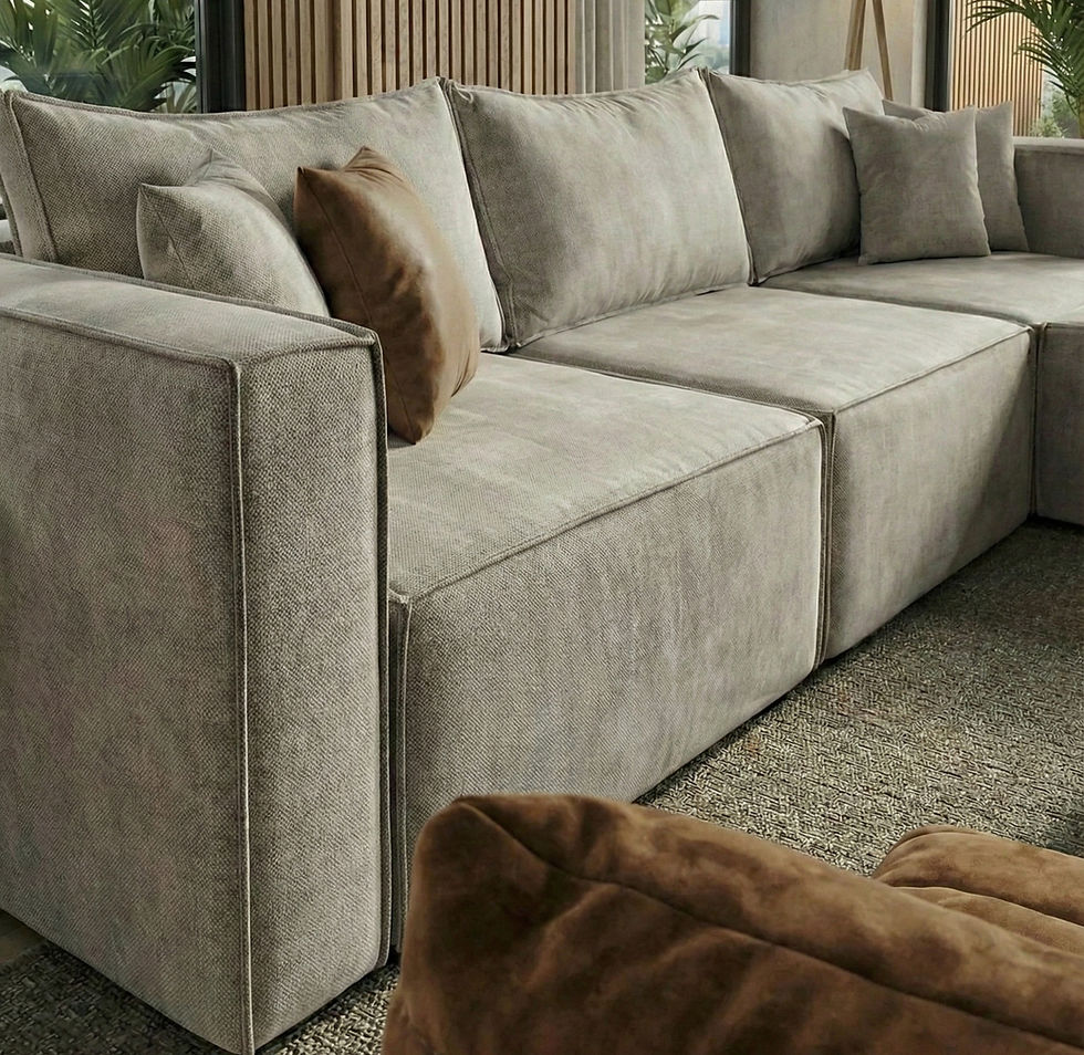 DETALLE SALA MINOTTI_edited.jpg