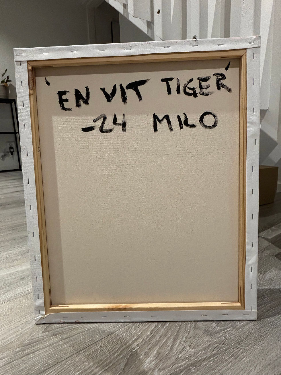 Thumbnail: En vit tiger 