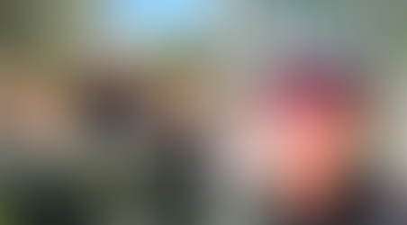 Questi nonni di Cinisello producono olio pugliese di prima qualità