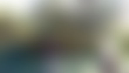 Perchè l'olio buono e fatto bene costa lavoro e fatica!