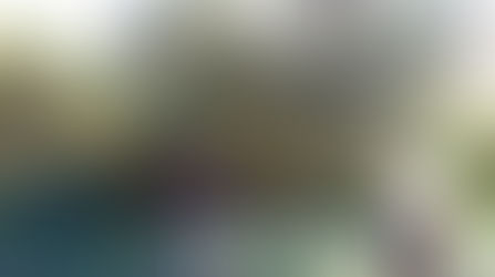 Perchè l'olio buono e fatto bene costa lavoro e fatica!