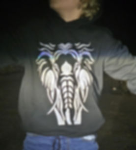 Elephant1 BWR