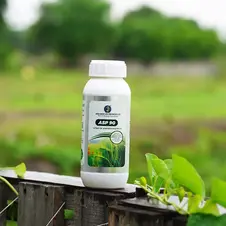 ASP 90 (100 ML)