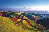 东川红土地锦绣园-张金明摄 (2).jpg