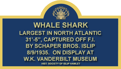 whale-shark-marker-large.gif