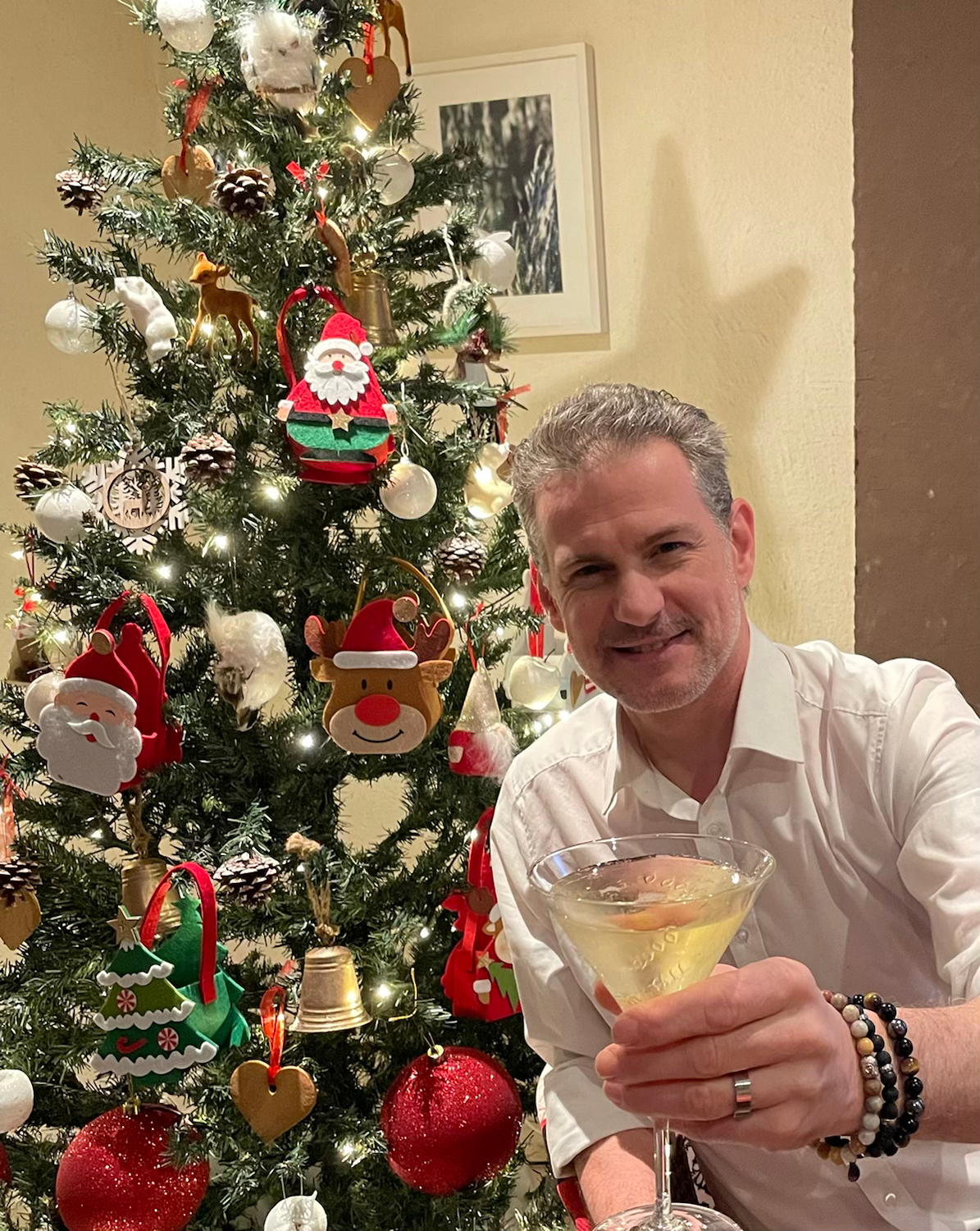 Fêtes de Noël content media