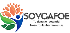 CAFOE LOGO 25 SLOGAN 2 LINEAS.png