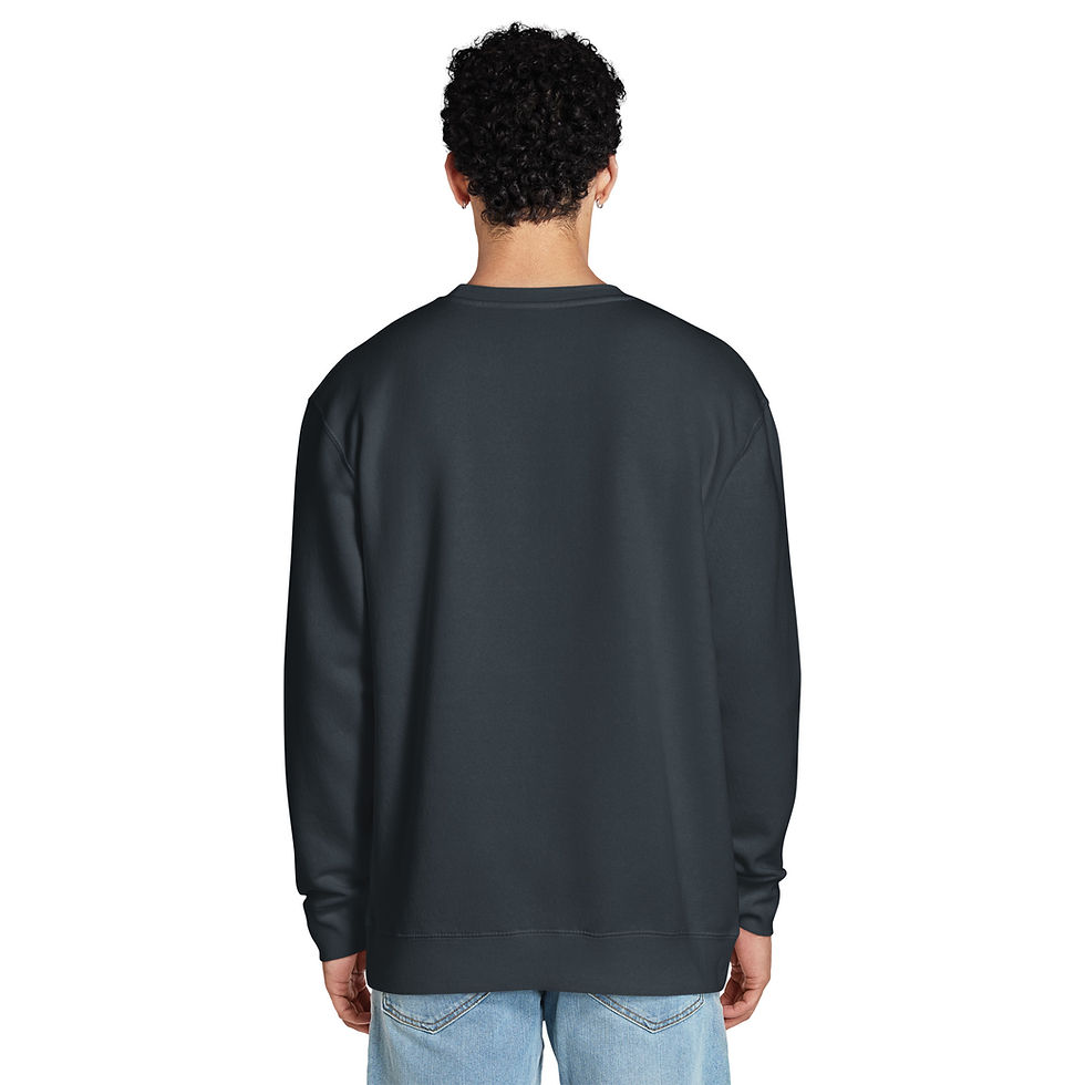 Thumbnail: Footsteps of Heroes Unisex premium crew neck sweatshirt