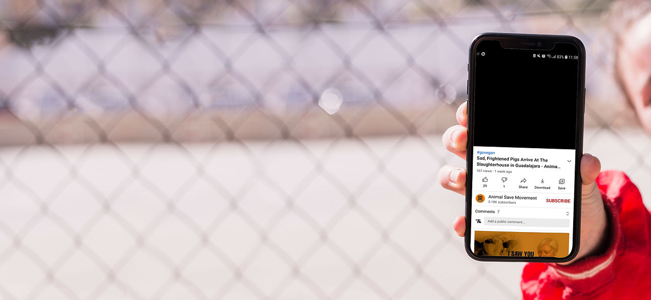save-phone-mockup.jpg