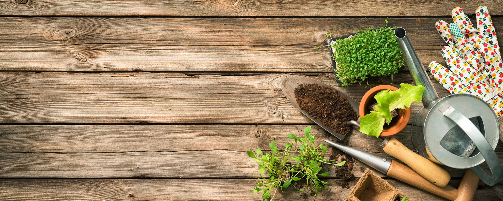 USDA Hardiness Grow Zones vs Sunset Climate Zones