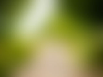 Deux sœurs en vélo au parc de la Roseraie à Nantes – séance photo famille Brin de Lune