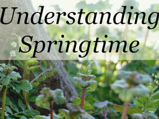 Understanding Springtime