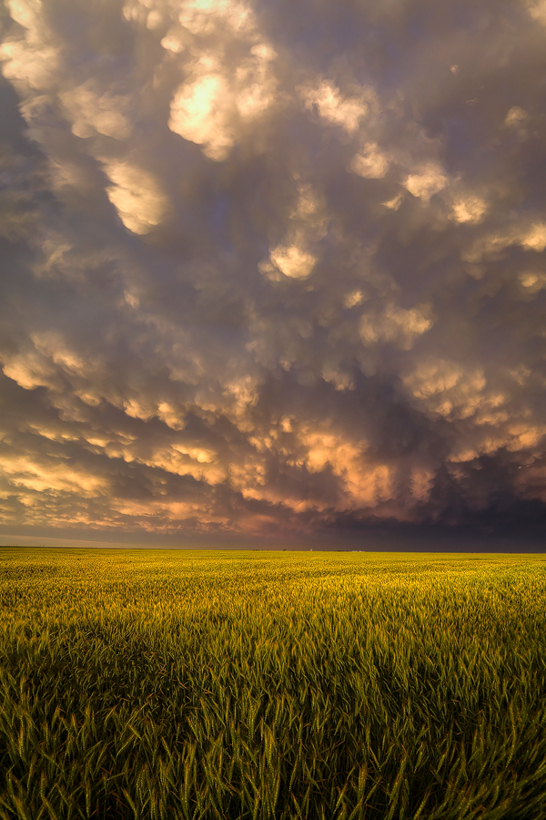 Tornado Alley 2016