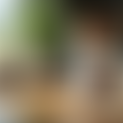 Create Attractive Promotional Offers for Your Gift Shop