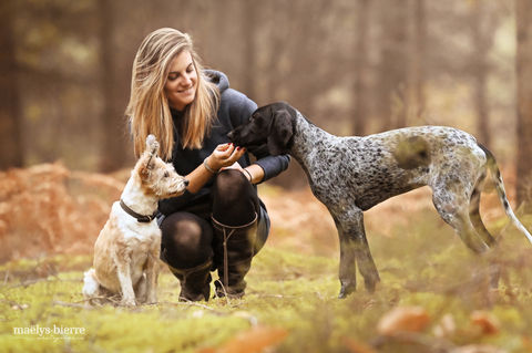 photo-chiens-greyster-foret.jpg