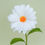 Thumbnail: Common Daisy
