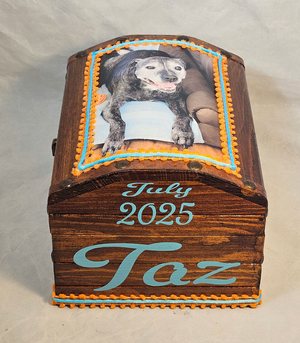 Taz - 2025