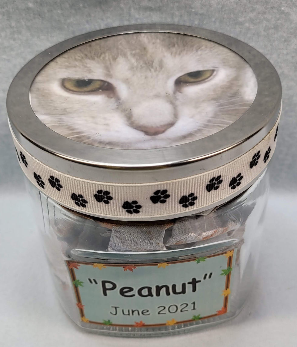 Peanut - 2021