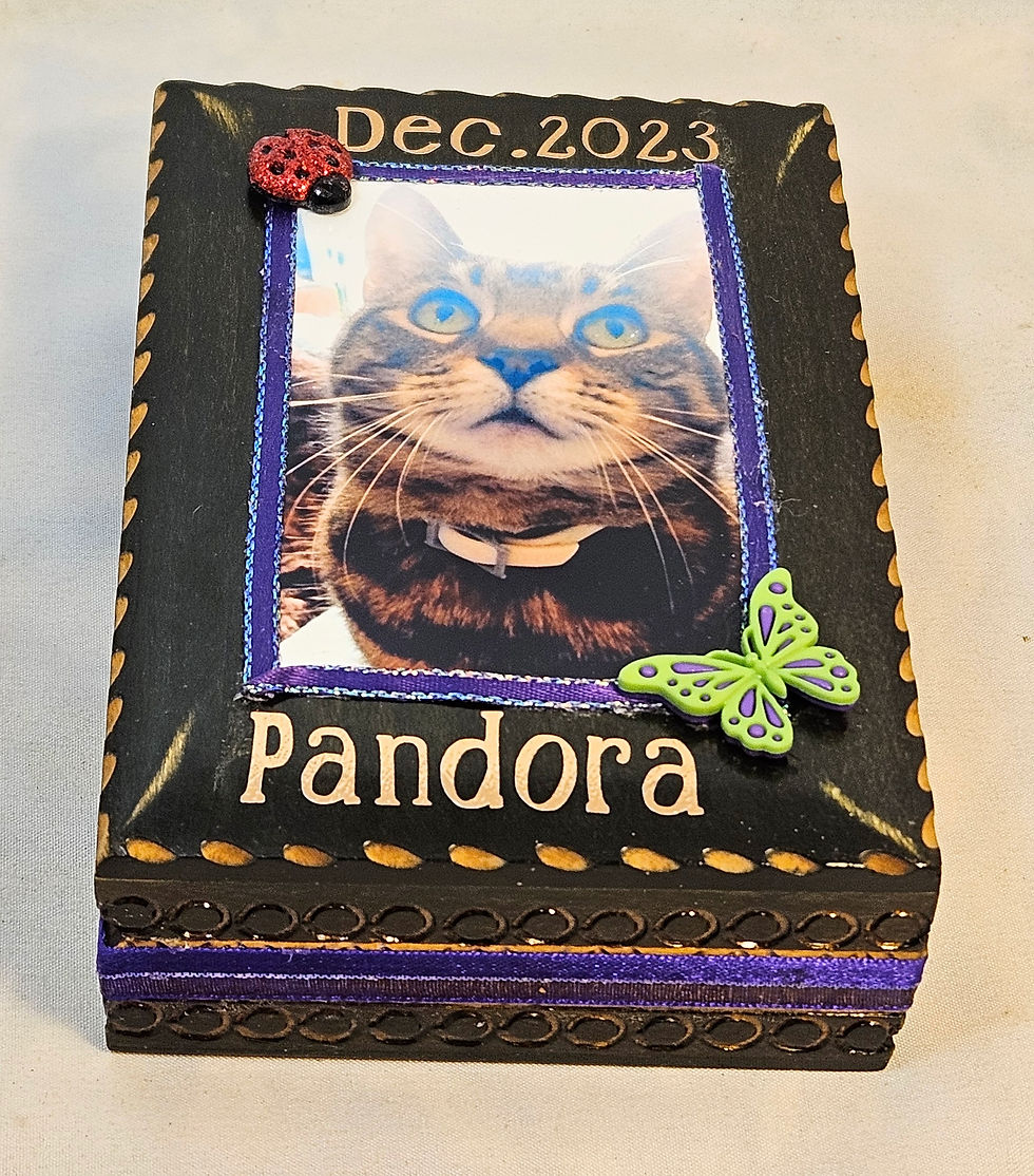 Pandora - 2023