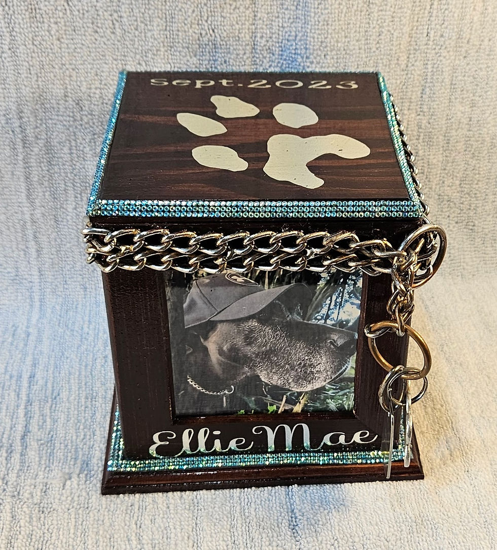 Ellie Mae - 2023