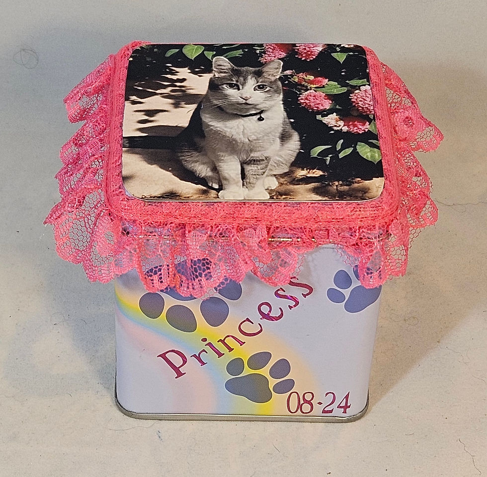 Princess - 2024