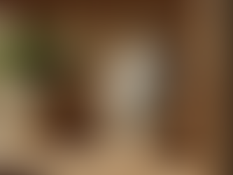 Understanding Pet Cremation Services: What You Need to Know