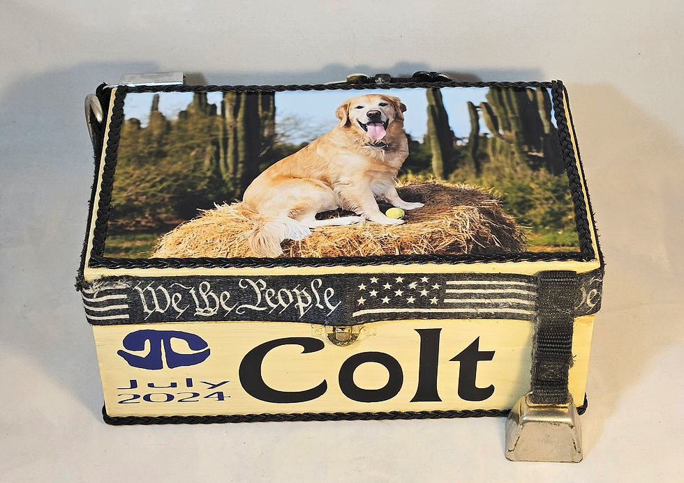 Colt - 2024