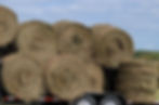 Roundbales - $60/ea