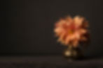 istockphoto_1278438827_edited.jpg