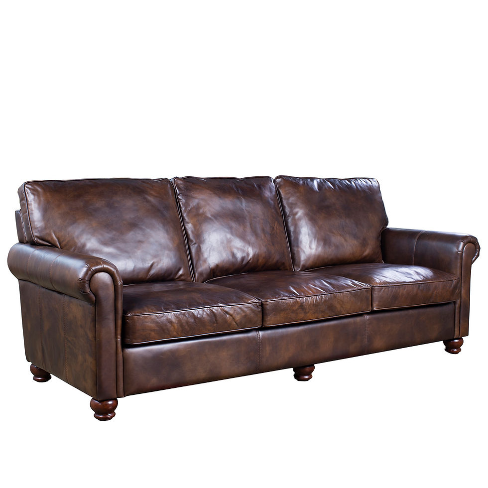 Genuine Leather Sofa – ANTIMAS