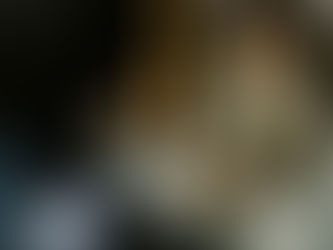 Transforming Trauma Recovery: Rewind Trauma Therapy and EMDR at Apex Therapy & Coaching 