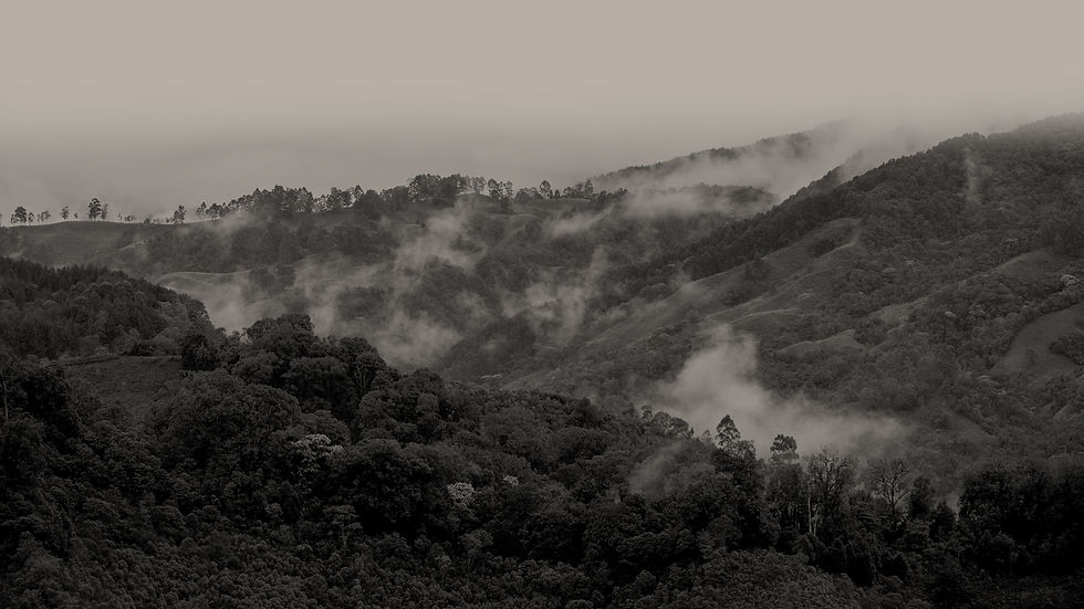 La Gloria - Club de Carnes