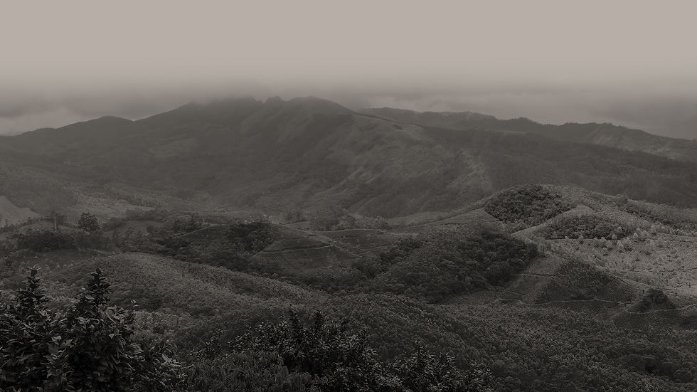 La Gloria - Club de Carnes