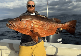 Snapper.png