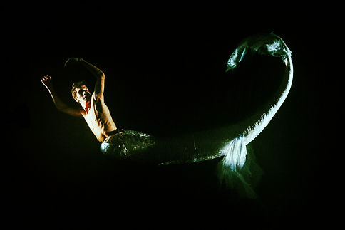 sirene_edited.jpg