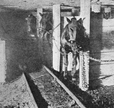 1912stables.gif
