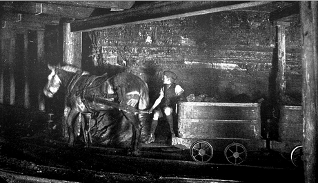 1913haulagebypony.gif