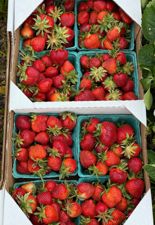 produce 2.jpeg