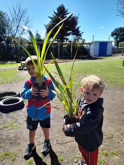 Hāwera Kindergarten 1_2026