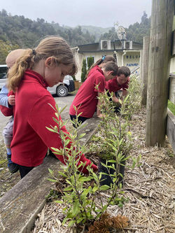 Papanui Junction School 2025