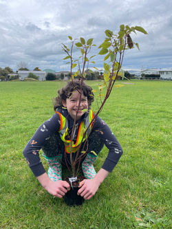 Puriri School 1 - 2024