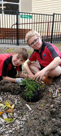 Pahiatua School 2026