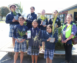 St Josephs School (Waipukurau) 2023