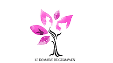 logo v3 (1).png