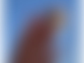 🌼 빠른제작 - 단 하루만에 완성되는 솔루션.   🐣 직관적인 사이트 제작