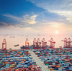 Modern Container Terminal