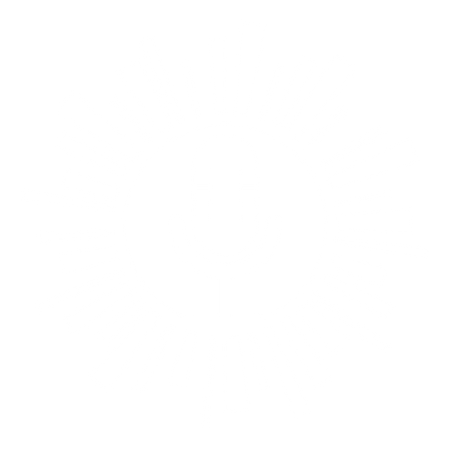 WHITE_MSS Sun Icon.png