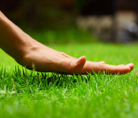depositphotos_8148963-stock-photo-hand.j