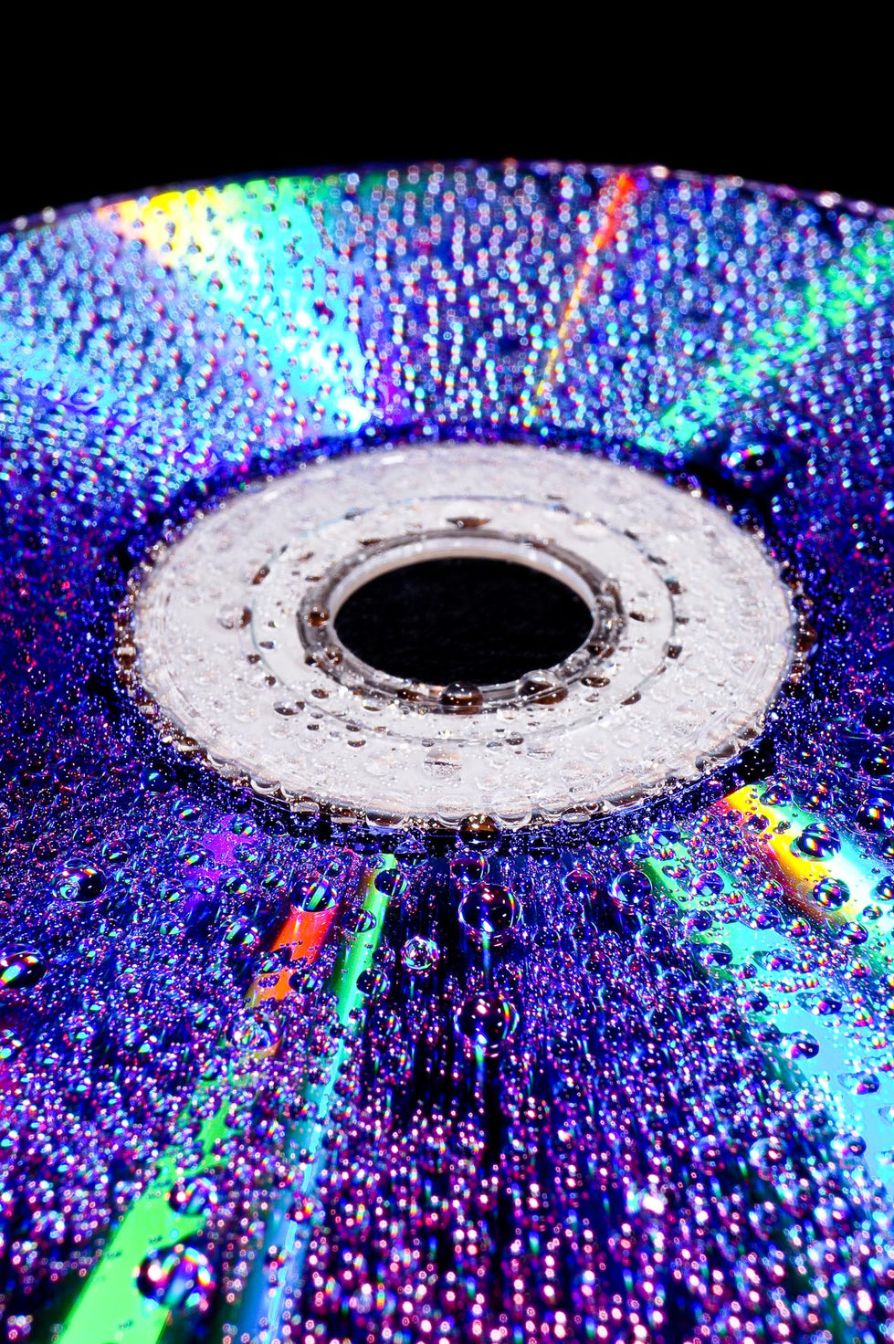 CD.jpg